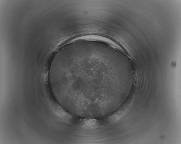 X0000096990355200802151357