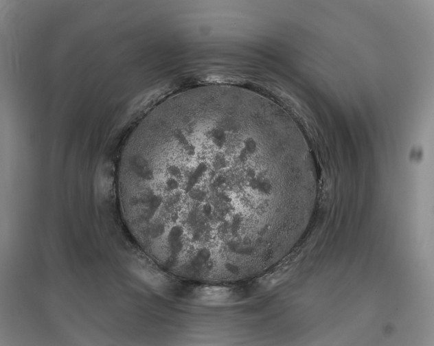 X0000096990361200802151357