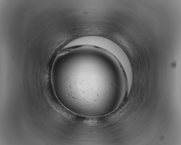 X0000096990362200802151357