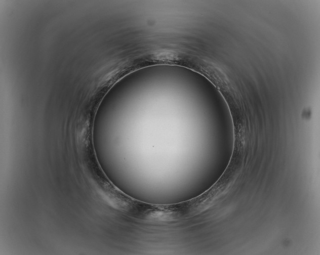 X0000096990364200802151357