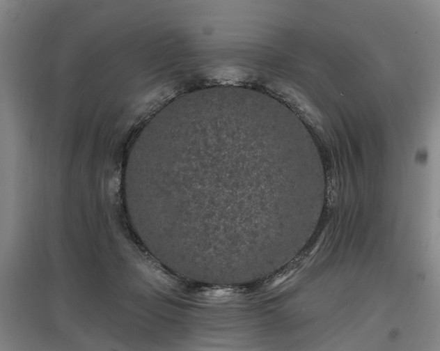 X0000096990365200802151357