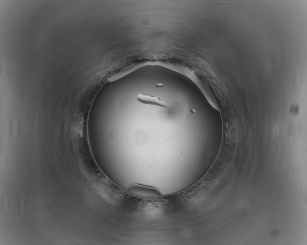 X0000096990368200802151357
