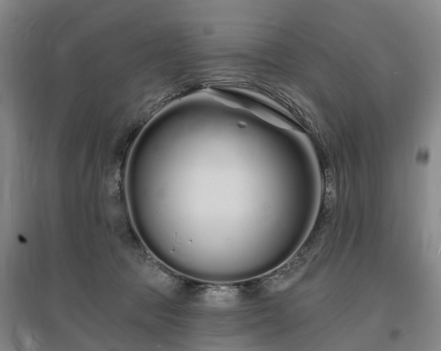 X0000096990369200802151357