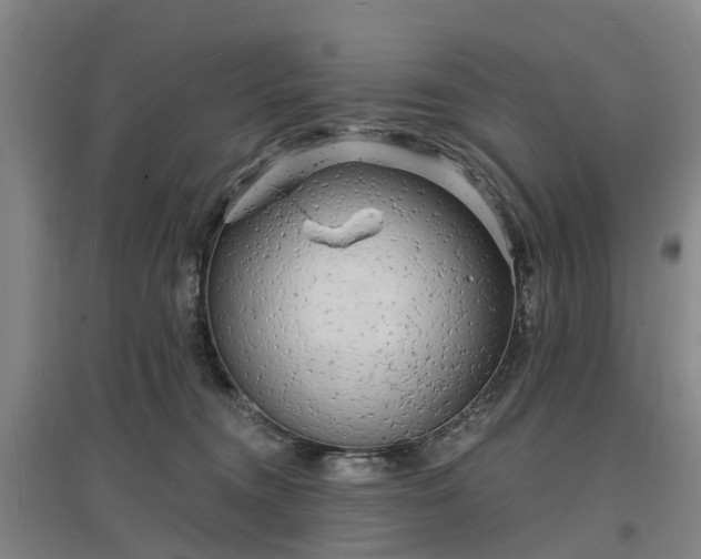X0000096990372200802151357