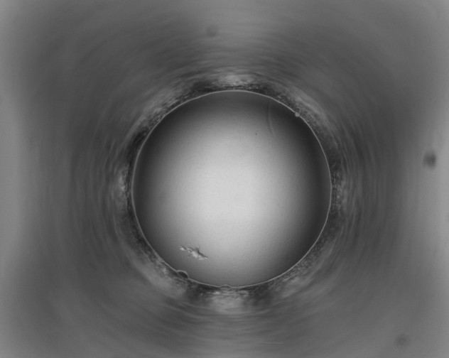 X0000096990373200802151357