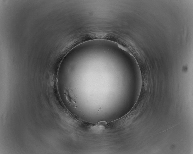 X0000096990374200802151358