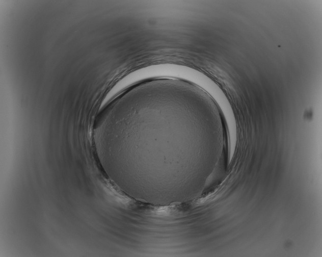 X0000096990382200802151358