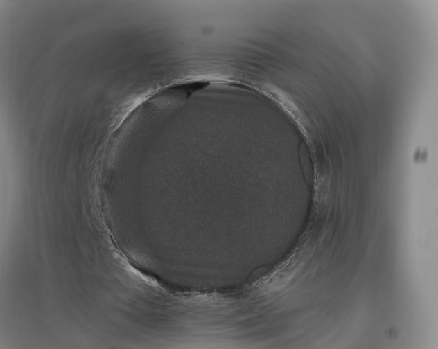 X0000096990385200802151357