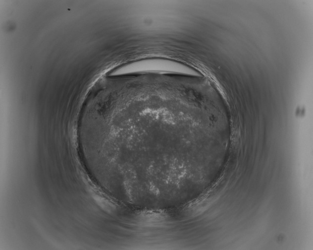 X0000096990386200802151357
