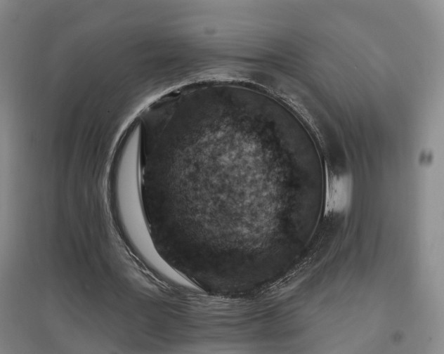 X0000096990387200802151357