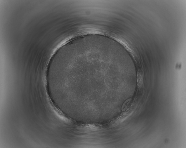 X0000096990390200802151357