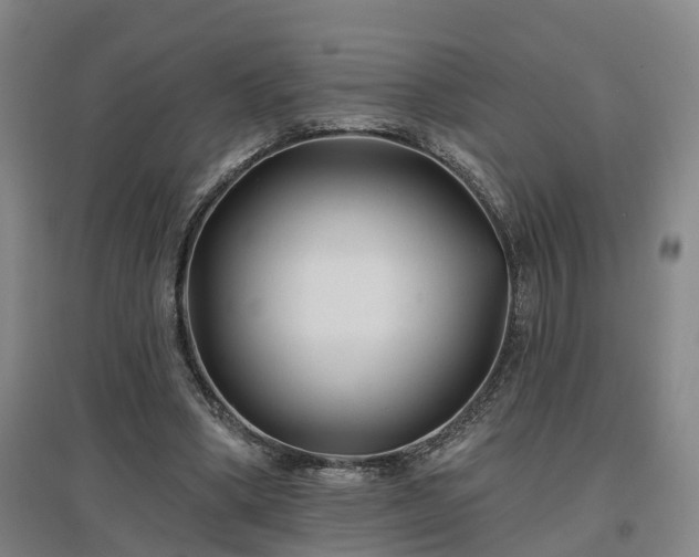 X0000096990394200802151357