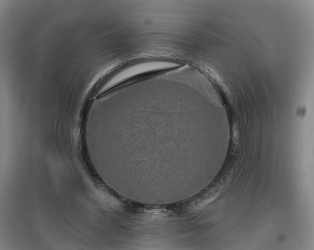 X0000096990396200802151357