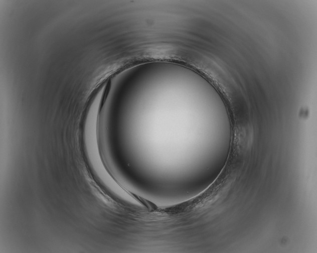 X0000096990397200802151357