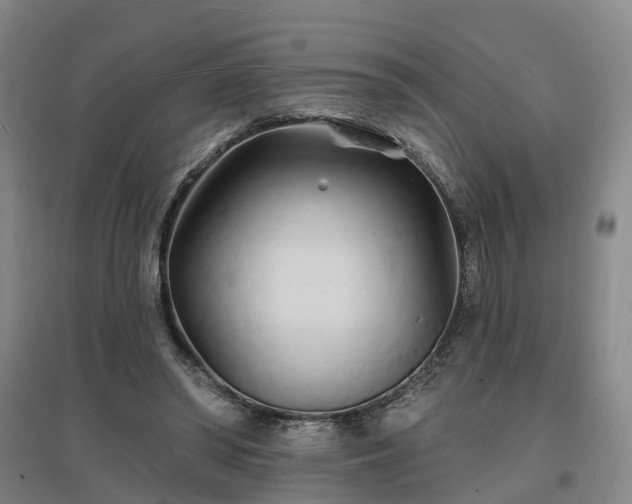 X0000096990398200802151357