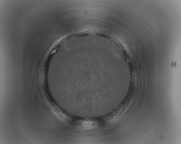 X0000096990400200802151357
