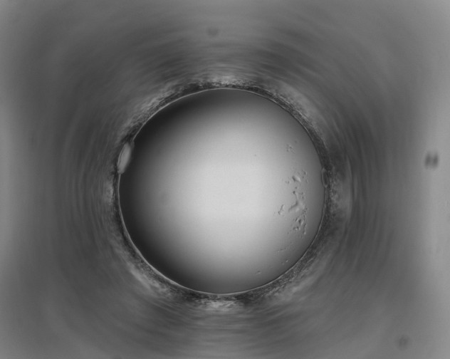 X0000096990401200802151357
