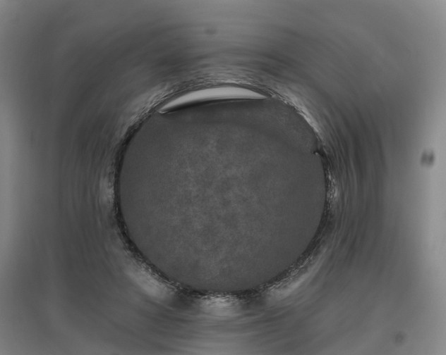 X0000096990402200802151357