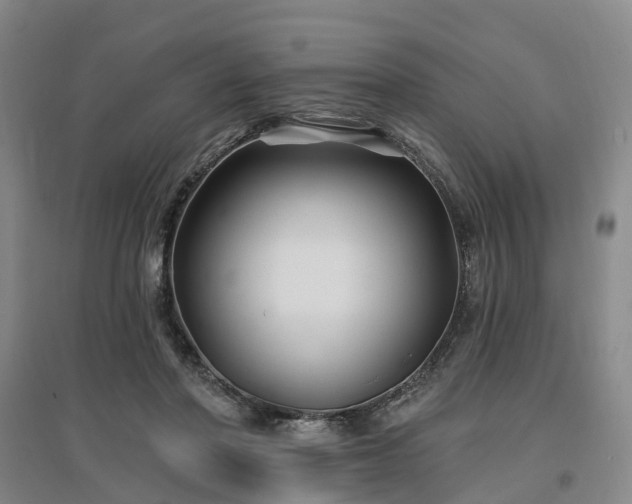 X0000096990406200802151357