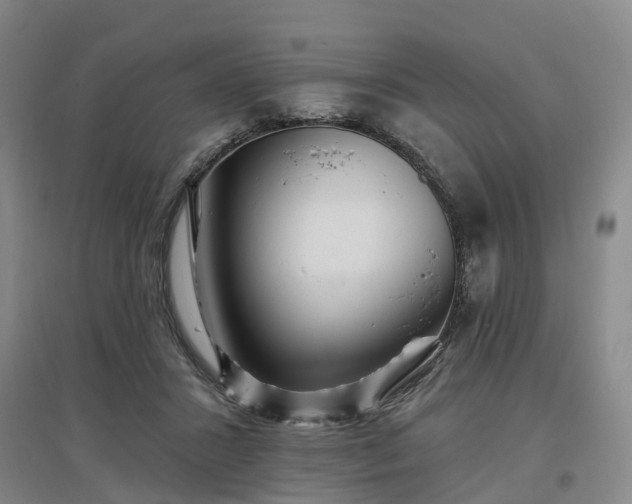 X0000096990407200802151357