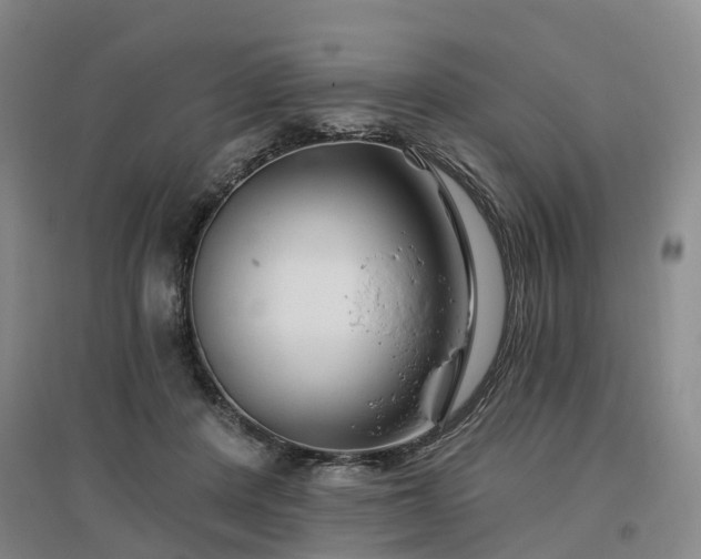 X0000096990408200802151357