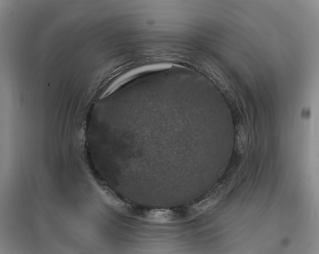 X0000096990410200802151357