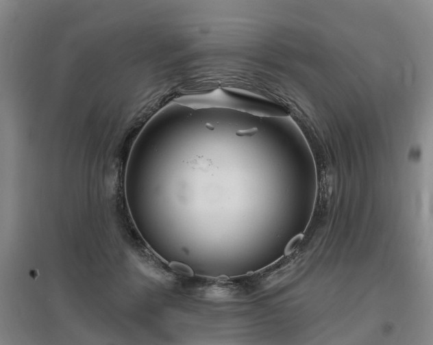 X0000096990412200802151357