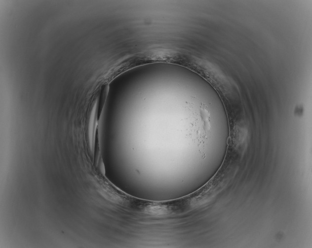X0000096990413200802151357