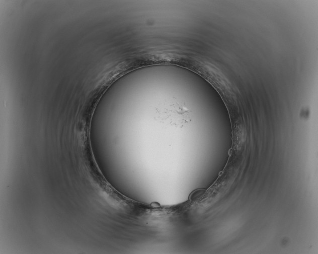 X0000096990414200802151357