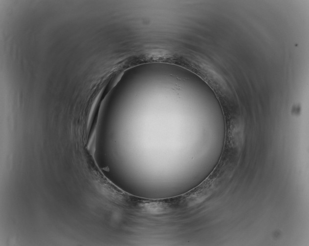 X0000096990417200802151357