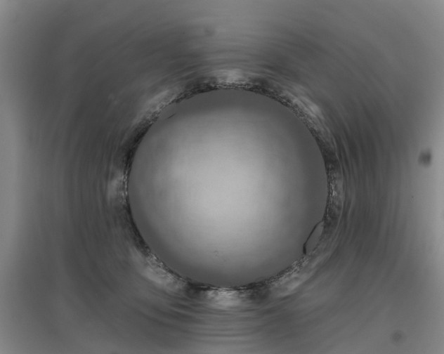 X0000096990419200802151356