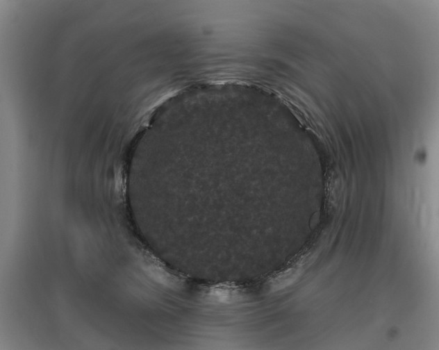 X0000096990420200802151356