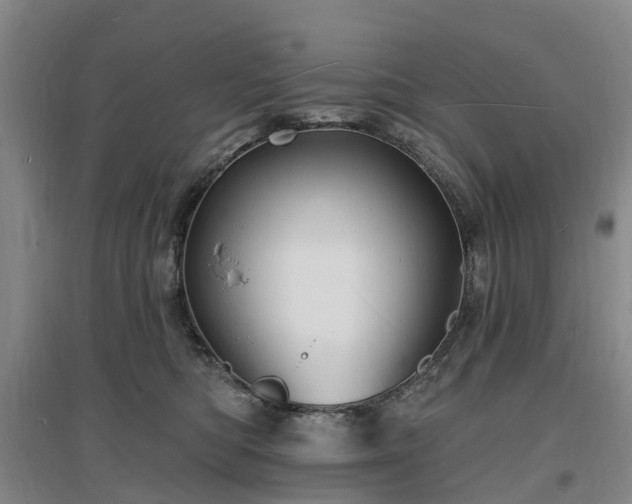 X0000096990422200802151356