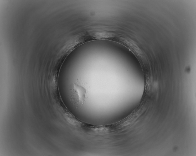 X0000096990426200802151356