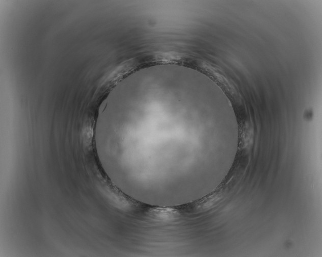 X0000096990427200802151356