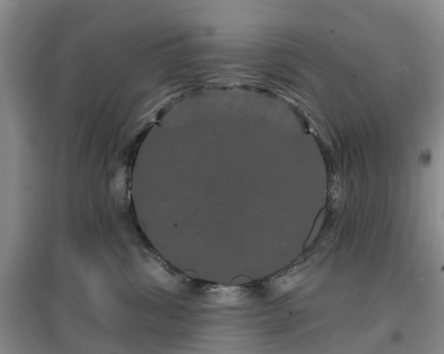 X0000096990428200802151356