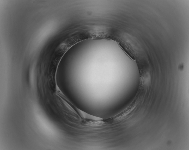 X0000096990429200802151356