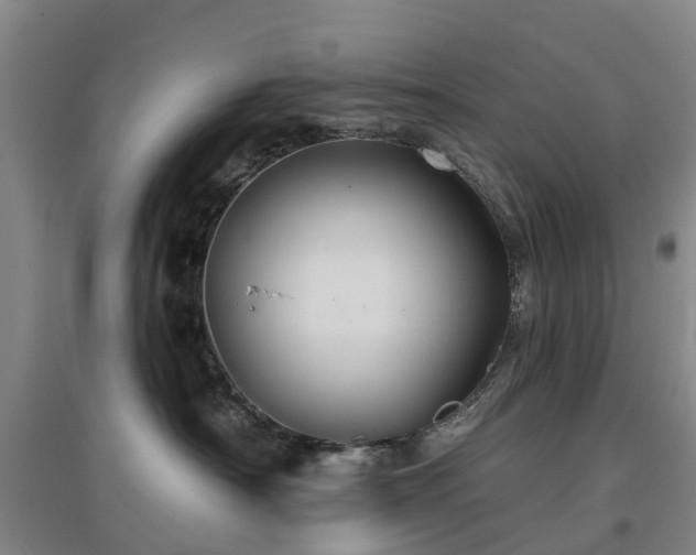 X0000096990430200802151356