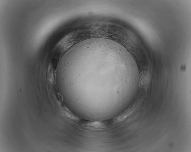 X0000096990431200802151356