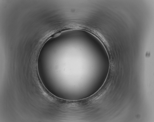 X0000096990433200802151356