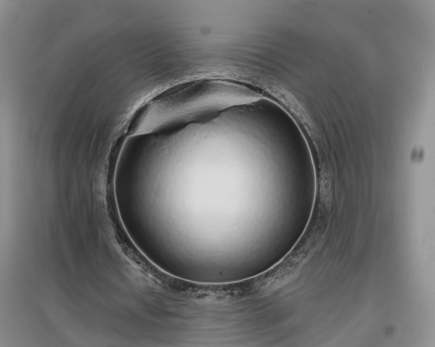 X0000096990434200802151356
