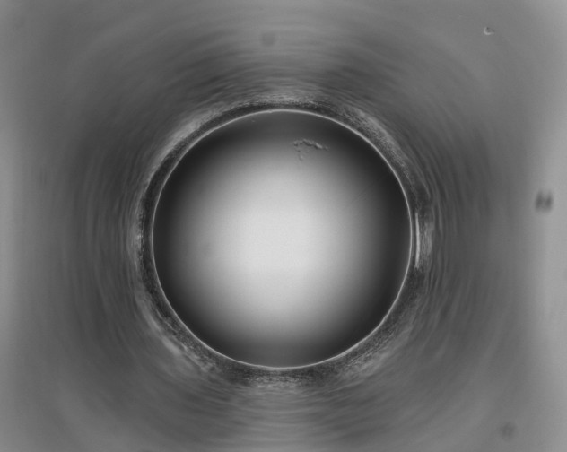 X0000096990435200802151356