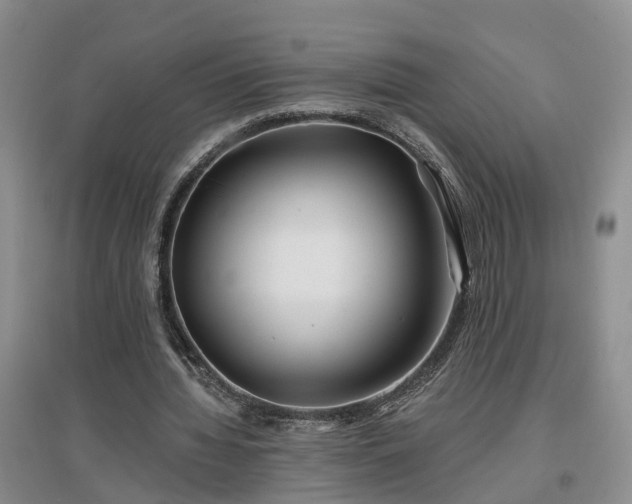 X0000096990436200802151356