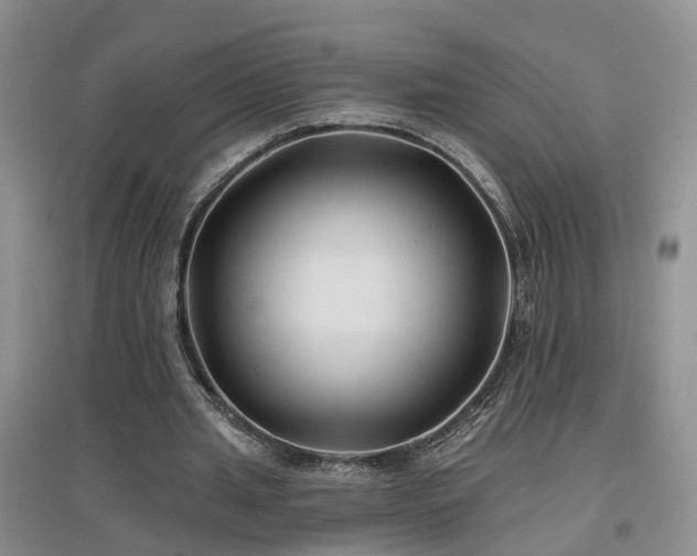 X0000096990437200802151356