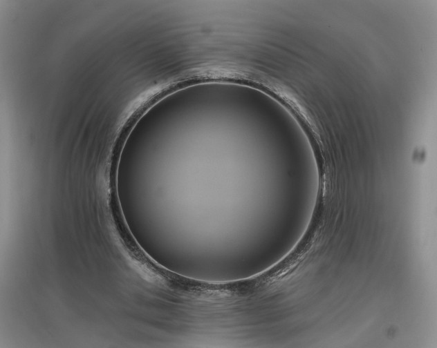 X0000096990438200802151356