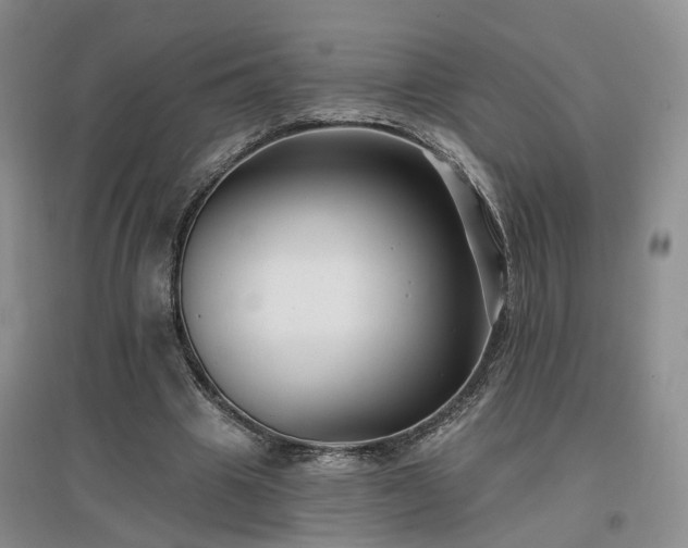 X0000096990441200802151356
