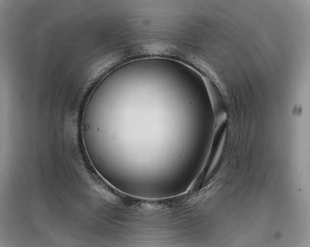 X0000096990442200802151356