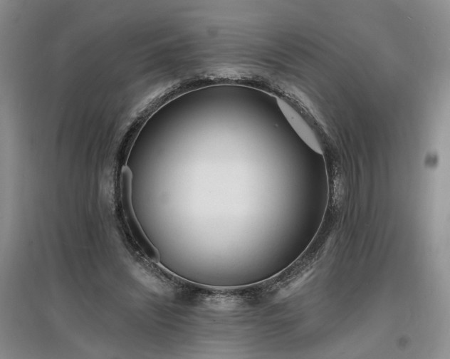 X0000096990444200802151356