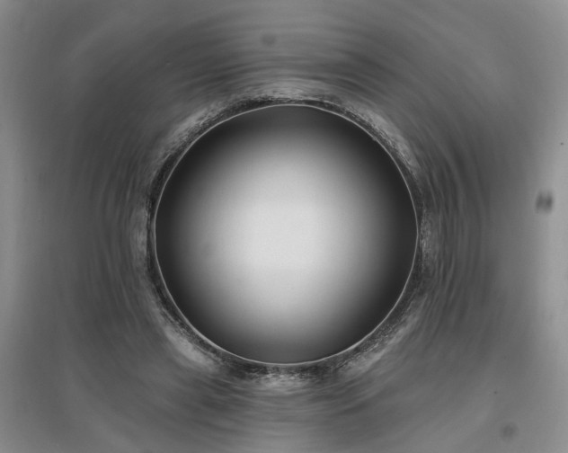 X0000096990445200802151356