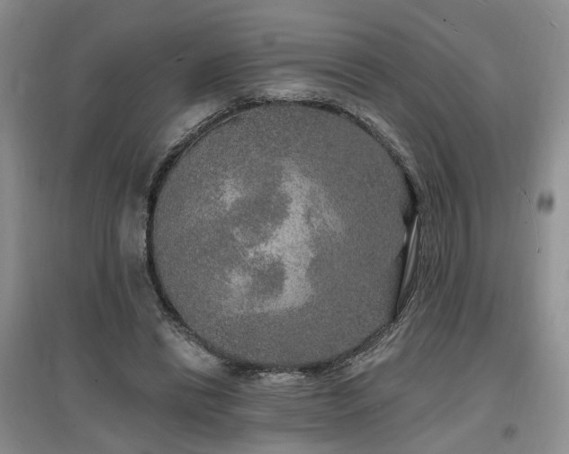X0000096990446200802151356